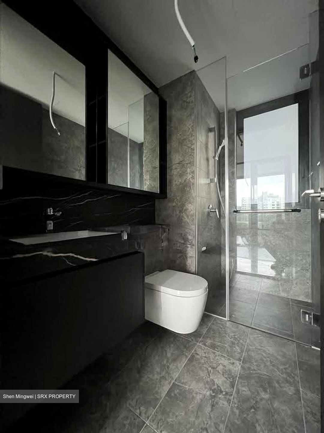 Hyll On Holland (D10), Condominium #611908751